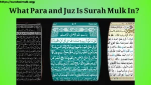 what para and page in surah mulk