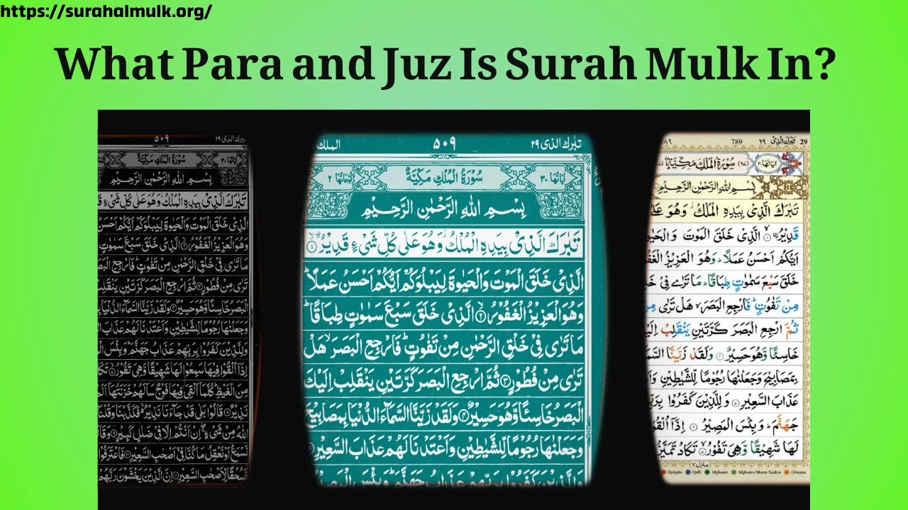 What Para and Juz Is Surah Mulk In? 1 what para and page in surah mulk